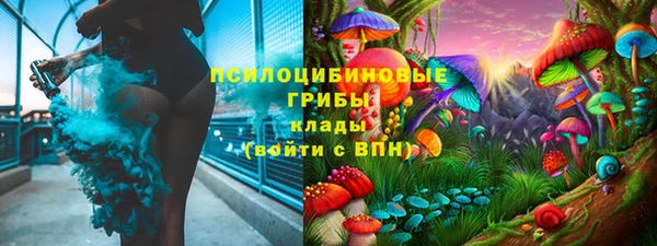 a pvp Щучье